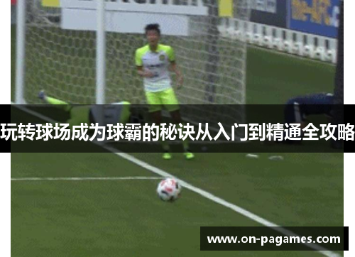 玩转球场成为球霸的秘诀从入门到精通全攻略