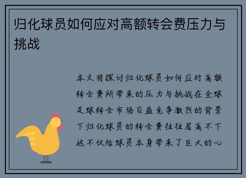 归化球员如何应对高额转会费压力与挑战