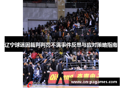 辽宁球迷因裁判判罚不满事件反思与应对策略指南
