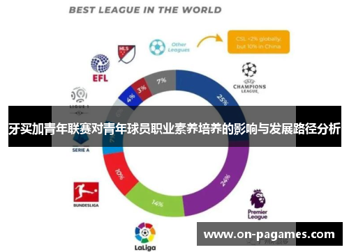 牙买加青年联赛对青年球员职业素养培养的影响与发展路径分析