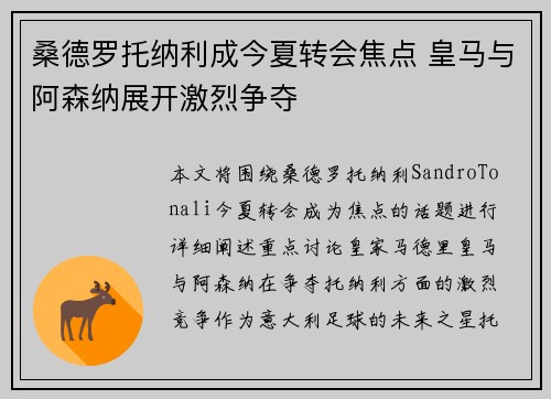 桑德罗托纳利成今夏转会焦点 皇马与阿森纳展开激烈争夺 桑德罗托纳利成今夏转会焦点 皇马与阿森纳展开激烈争夺