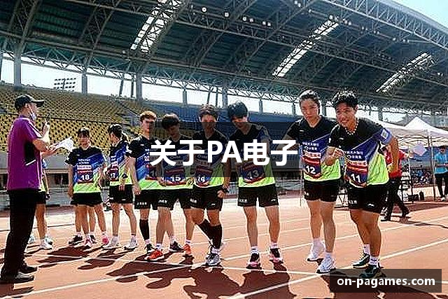 关于PA电子